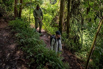 Randonnée, Parc National de Nyungwe