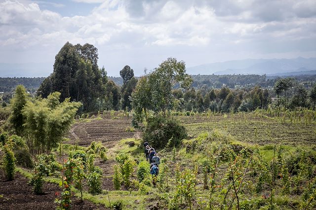 Safari Rwanda