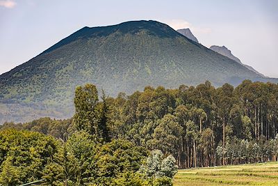 Musanze, vue sur le Mont Visoke