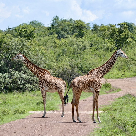 Autotour Rwanda