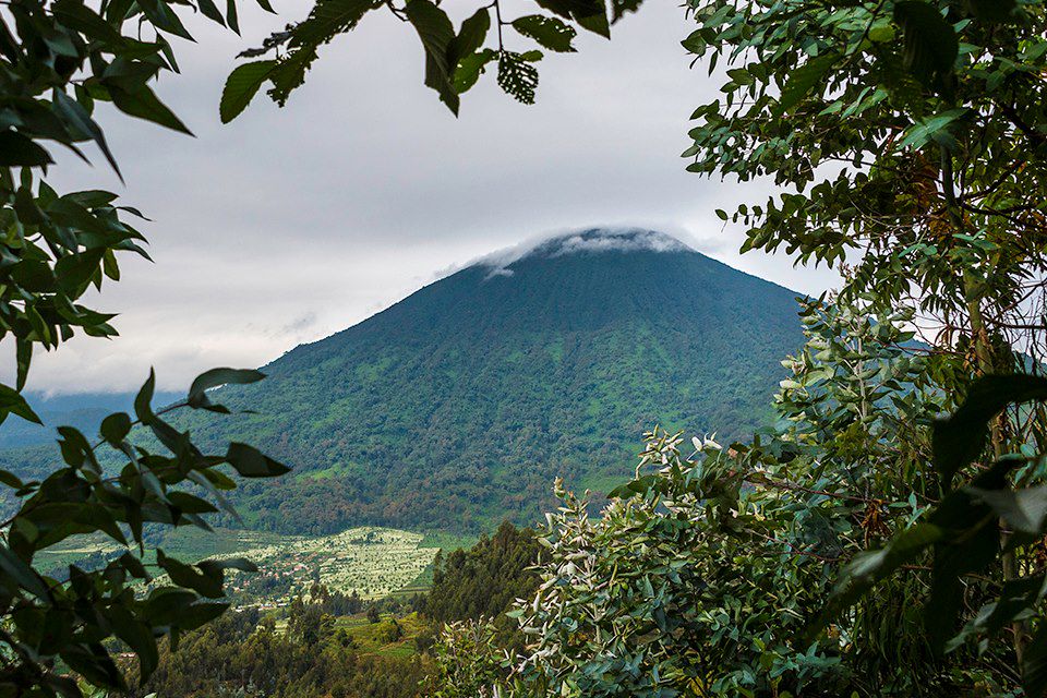 Image Trek Rwanda - Congo Nile Trail - Foret de Nyungwe