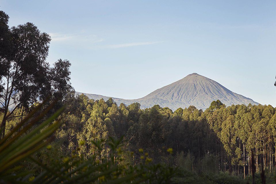 Image Trek Rwanda - Congo Nile Trail - Foret de Nyungwe