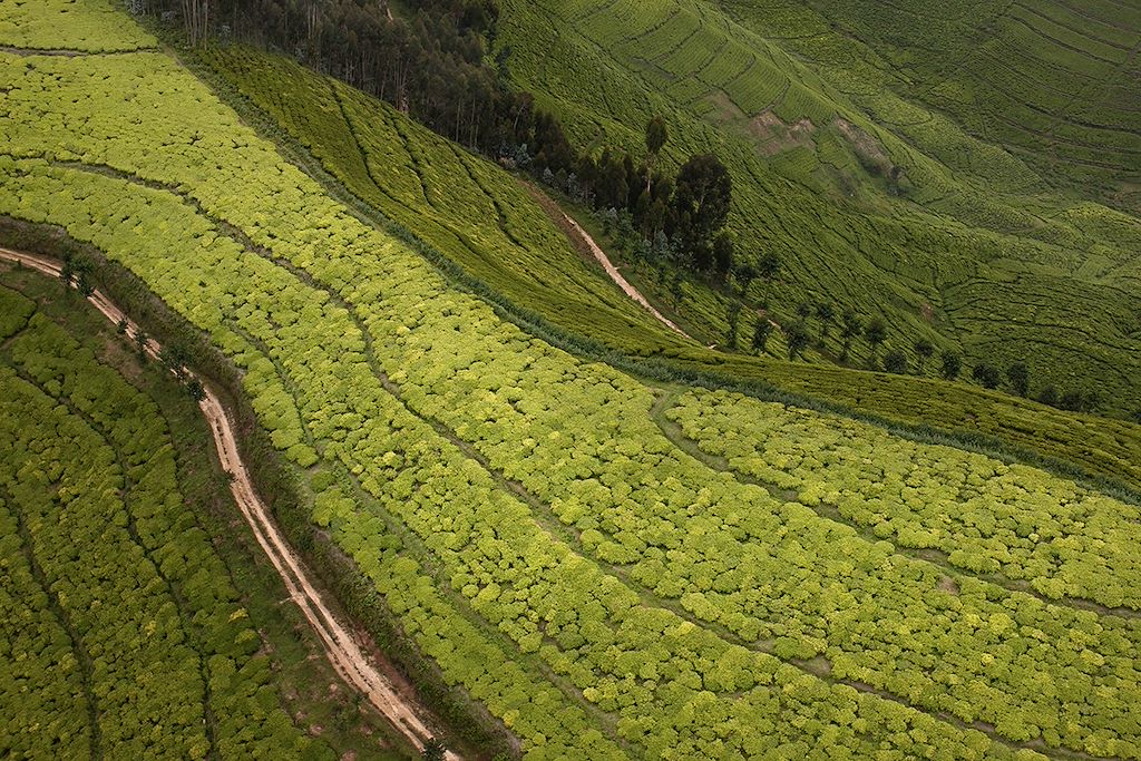 Image Découverte du Rwanda à vélo électrique - VTT Rwanda - Congo Nile Trail à vélo