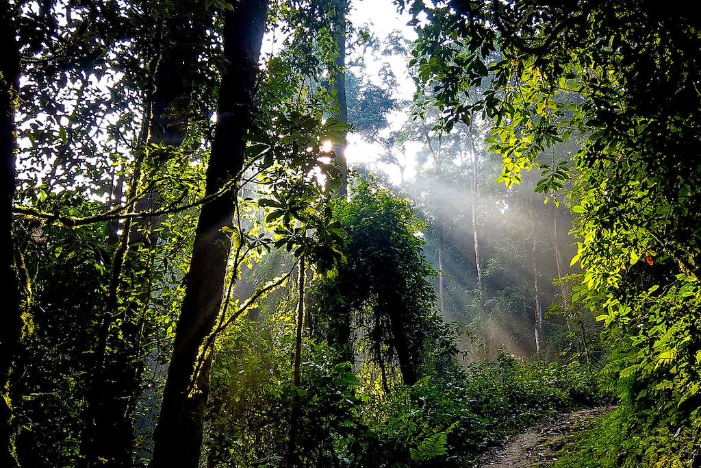 Image Découverte du Rwanda à vélo électrique - VTT Rwanda - Congo Nile Trail à vélo
