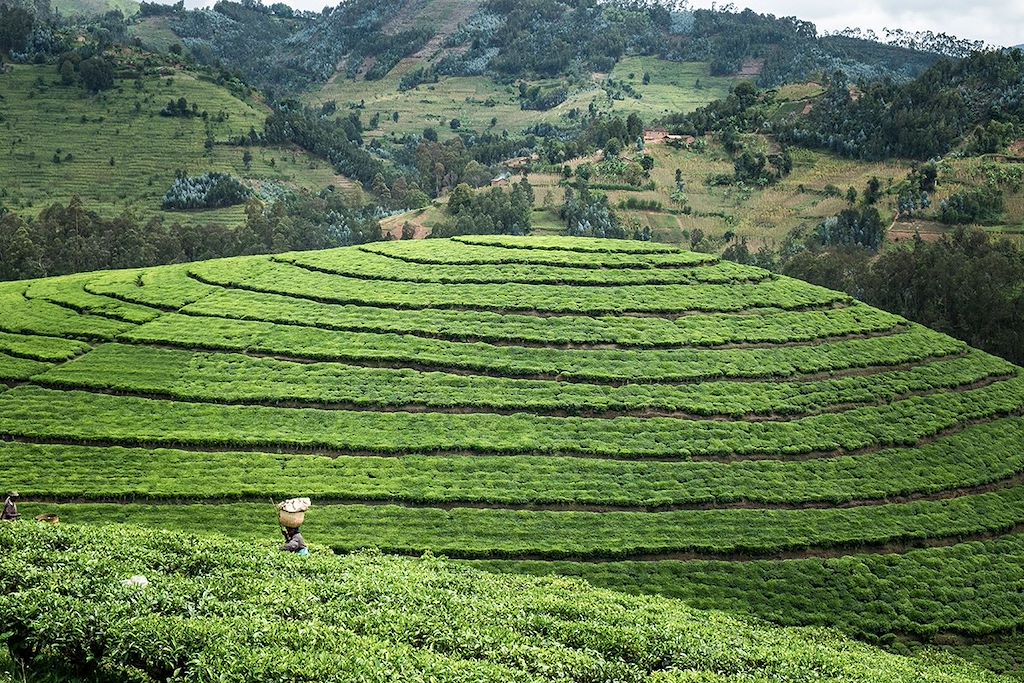 Image Découverte du Rwanda à vélo électrique - VTT Rwanda - Congo Nile Trail à vélo
