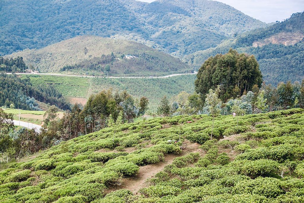 Image Découverte du Rwanda à vélo électrique - VTT Rwanda - Congo Nile Trail à vélo