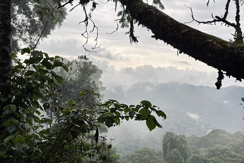 Image Découverte du Rwanda à vélo électrique - VTT Rwanda - Congo Nile Trail à vélo