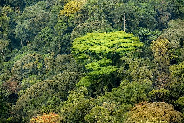 Voyage Voyage investisseur au Rwanda