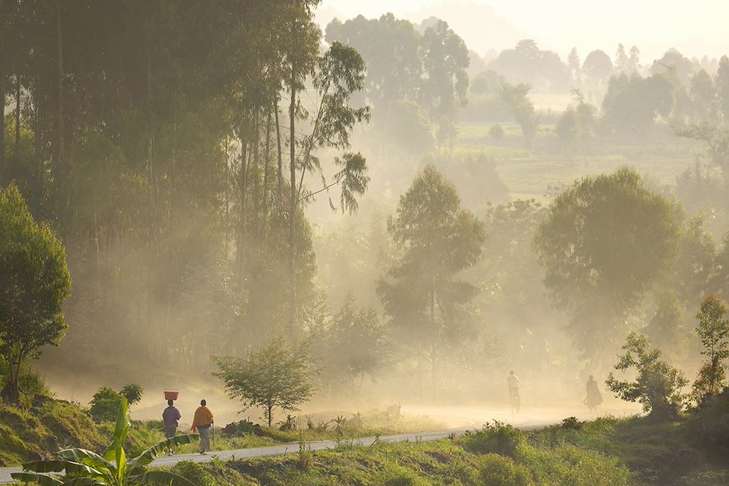 Image Trek Rwanda - Randonnée Congo Nile Trail - Foret de Nyungwe