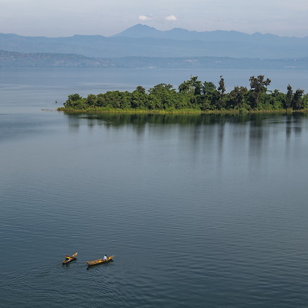Observation animalière Rwanda