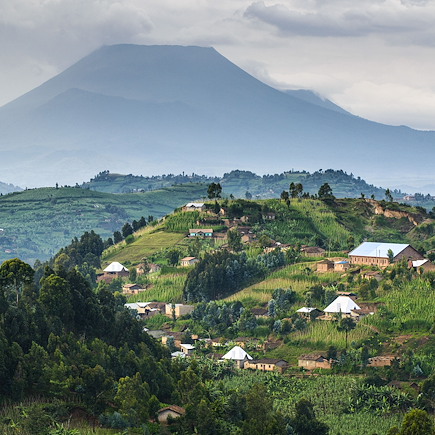 Safari Rwanda