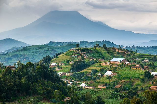 Safari Rwanda