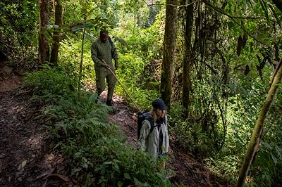 Randonnée, Parc National de Nyungwe