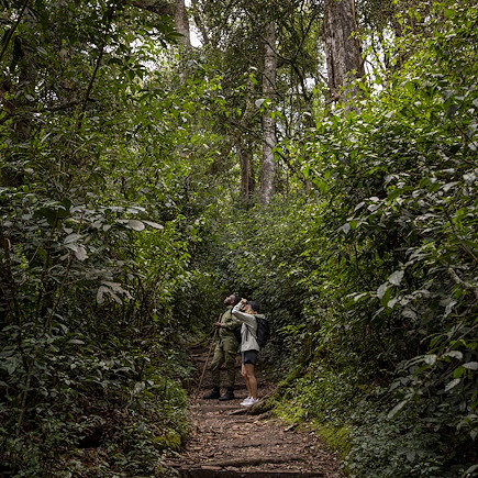Safari Rwanda