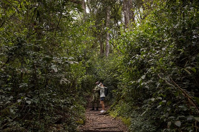 Safari Rwanda