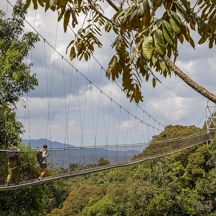 Safari Rwanda