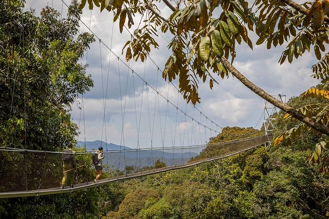 Safari Rwanda