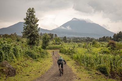 Traversée des champas de haricots