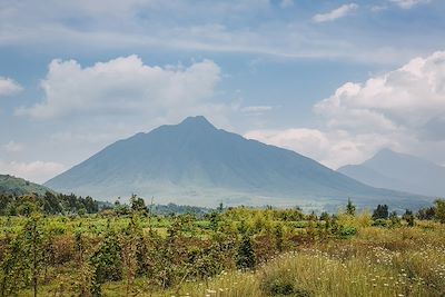 Volcan - Rwanda