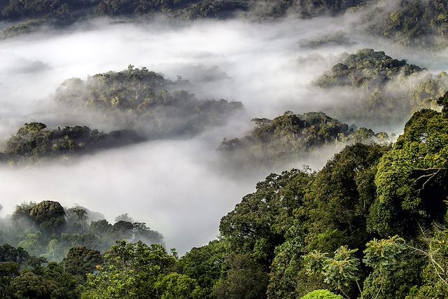 Safari Rwanda
