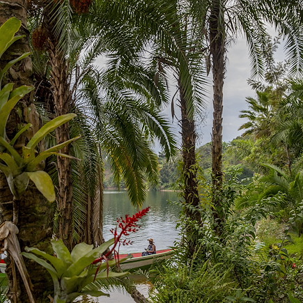 Safari Rwanda