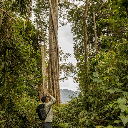Safari Rwanda