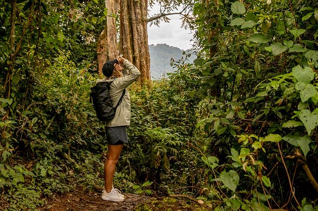 Safari Rwanda