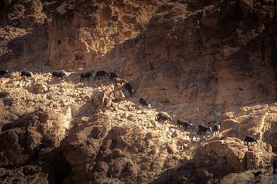 Voyage Perles d'Arabie 3
