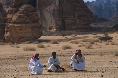 Desert du Nefoud - Arabie Saoudite