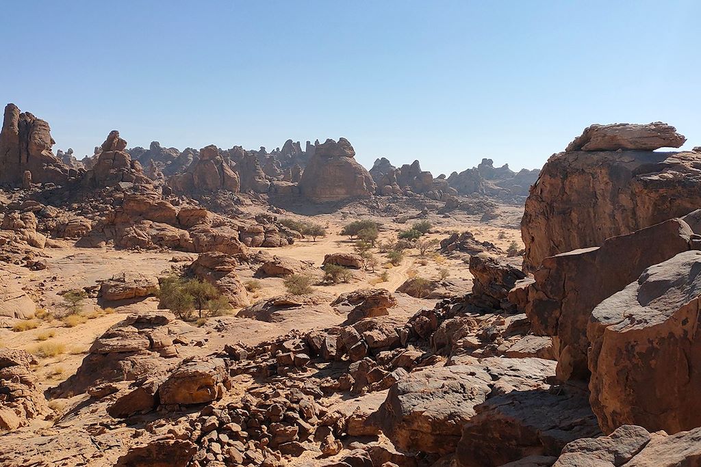 Voyage Désert du Nefoud et trésor d'Al Ula 2