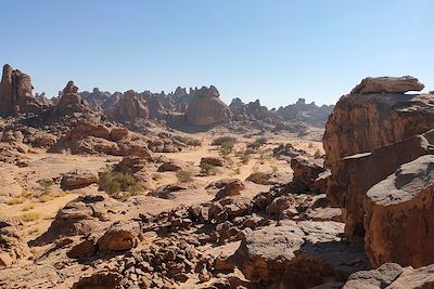 Désert du Néfoud - Arabie-saoudite