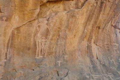 Voyage Désert du Nefoud et trésor d'Al Ula 1