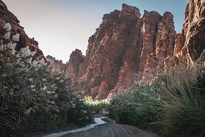 vallée d'Al Disah - Tabuk - Arabie Saoudite