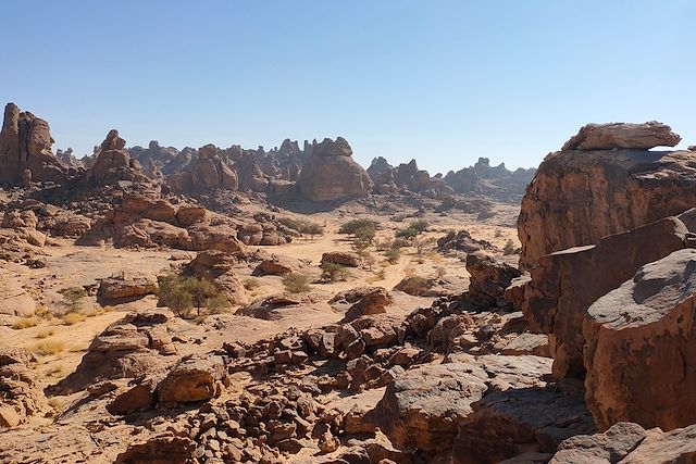 Voyage : Du désert du Nefoud au site nabatéen d'Al Ula Voyage Du désert du Nefoud au site nabatéen d'Al Ula