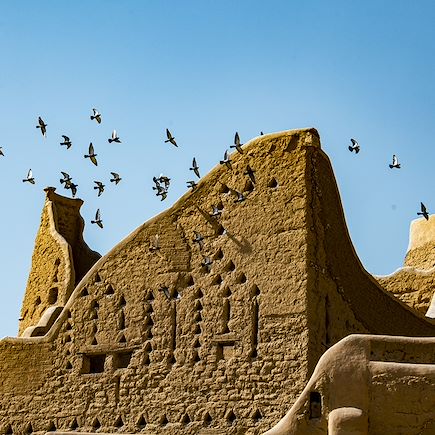 Découverte Arabie Saoudite