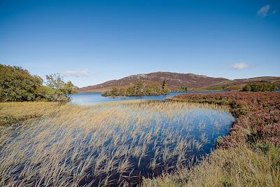 Voyage Forêts, collines, rivières et lacs Ecosse