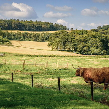 Randonnée Ecosse