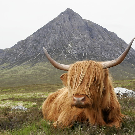 Randonnée Ecosse