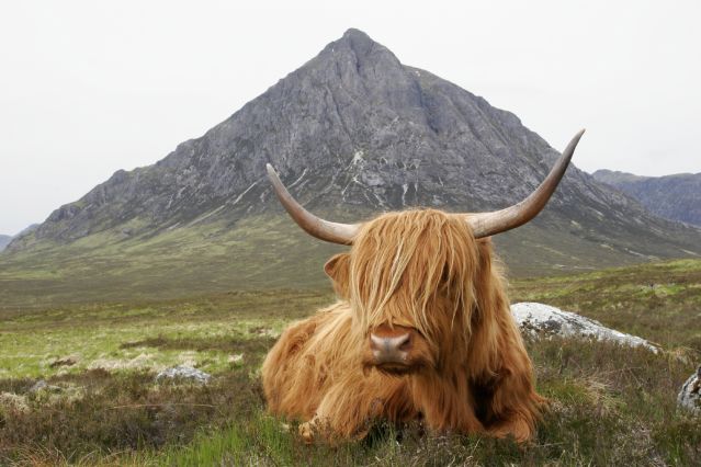 Voyage à pied : Royaume-Uni : Le West Highland Way