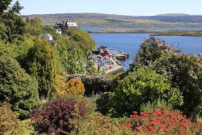 Île de Mull - Ecosse 