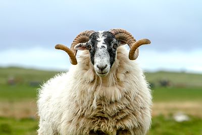 Les îles sauvages d'Ecosse