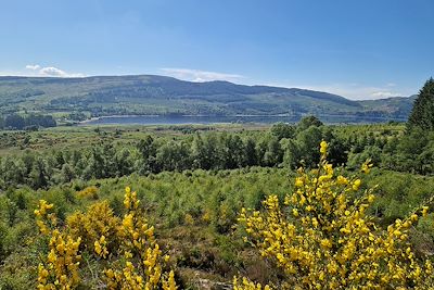 © Hugo Barranque - Glen Finglas - Ecosse - Royaume-Uni Glen Finglas - Ecosse - Royaume-Uni