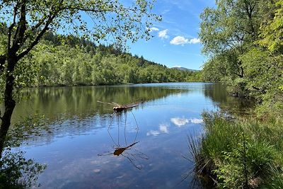 © Lili Marsan - Libellule - Lochan Spling - Ecosse - Royaume-Uni Libellule - Lochan Spling - Ecosse - Royaume-Uni
