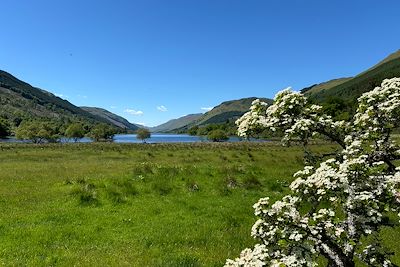 © Lili Marsan - Loch Voil - Ecosse - Royaume-Uni Loch Voil - Ecosse - Royaume-Uni