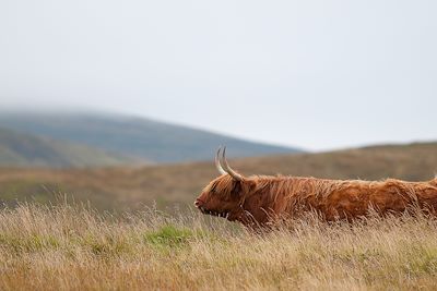 Ile de Skye - Hébrides intérieures - Ecosse