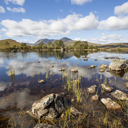 Découverte Ecosse