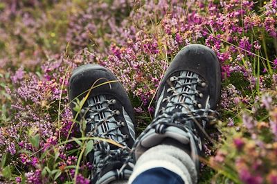© Ruth Black / Stocksy - Chaussures de randonnée dans des fleurs - Ecosse - Royaume-Uni Chaussures de randonnée dans des fleurs - Ecosse - Royaume-Uni