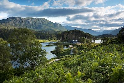 Glen Affric - Highlands - Ecosse