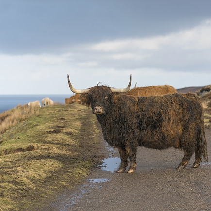 Découverte Ecosse Irlande du Nord