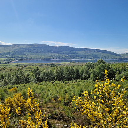 VTT / Gravel Ecosse